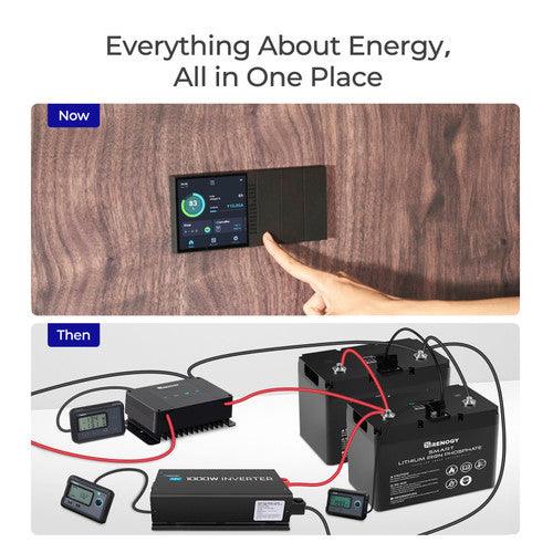 12-Volt 100Ah Smart Lithium Iron Phosphate Battery w/ Self-Heating Function