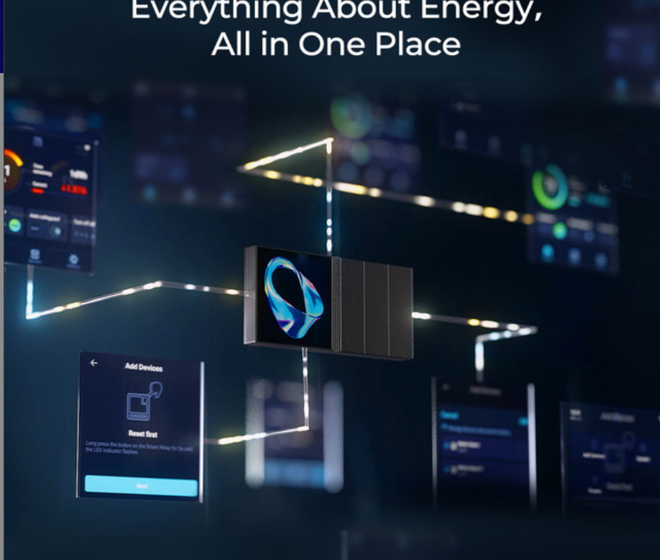 RENOGY ONE M1
