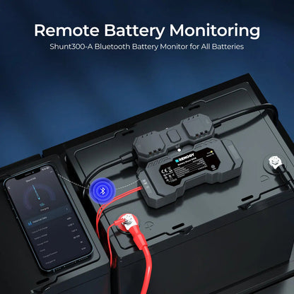 Renogy Battery Shunt 300 Smart Battery Monitor for SOC, Voltage & Current Tracking