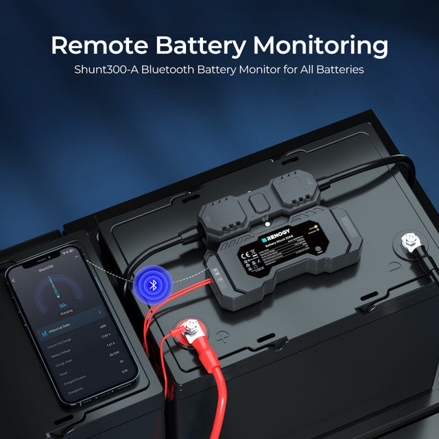 RENOGY Battery Shunt 300