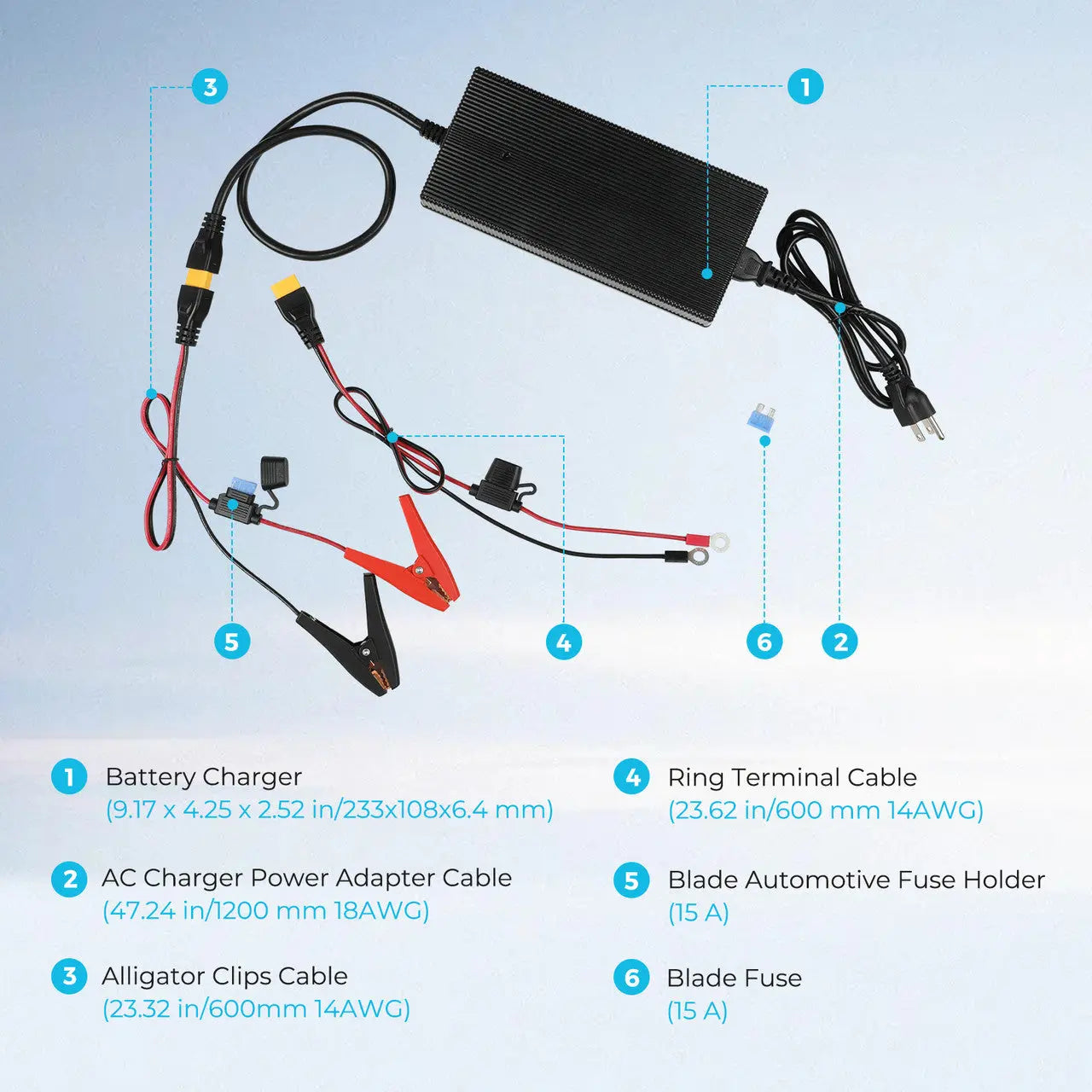 Chargeur de batterie portable LFP 24V 10A CA/CC