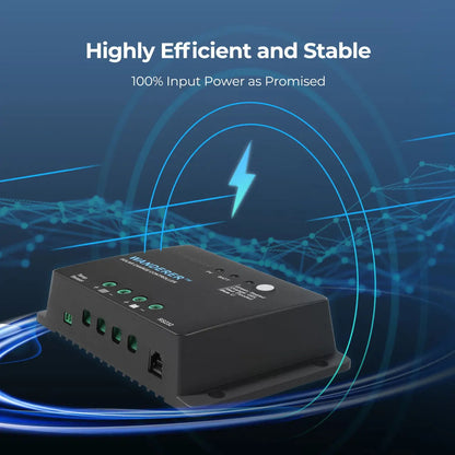 Contrôleur de Charge PWM Wanderer Li 30A 12V