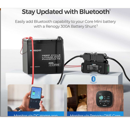 Mini Series 12V 100Ah LiFePO4 Battery, Rechargeable Deep Cycle Lithium Battery