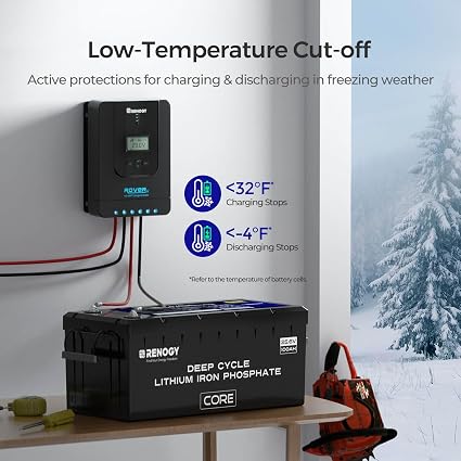 Renogy Core 24V 100Ah LiFePO4 Self-Heating Deep Cycle Battery