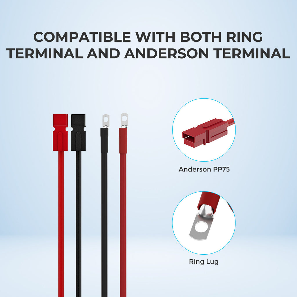 Câble adaptateur Anderson 10 pieds 6 AWG (Anderson PP75 - Cosse à œillet)