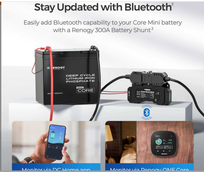 12V 100Ah Core Series Deep Cycle Lithium Iron Phosphate Battery（Mini Series）